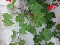 01.webp