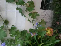 02.webp