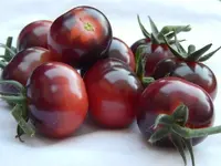 DSCN3538.webp