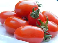 DSCN3543.webp