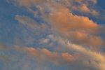 DSC_2580.jpg