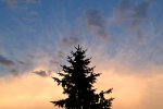 DSC_2642.jpg