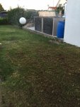 IMG_3126.JPG