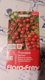 IMG-20160821-WA0001.webp