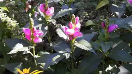 20160821_102419.webp