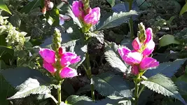 20160821_102431.webp