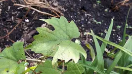 20160821_102520.webp