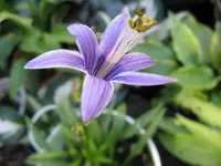 001_1024x768.webp