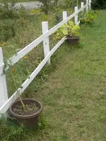 P8240315.webp