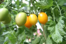IMG_1208.webp