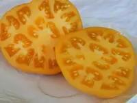 DSCN3555.webp