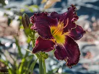 IMG_6141-6.webp