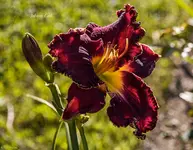 IMG_6142.webp