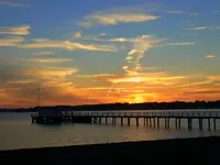 065.webp