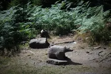 DSCF7106 (2).webp