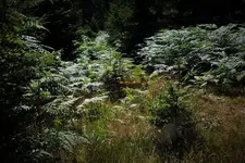 DSCF7108 (2).webp