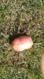 IMG_20160815_160317.webp