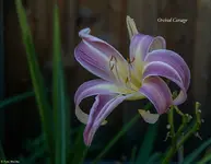 IMG_6158-2.webp
