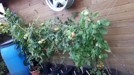 20160827_171140.jpg