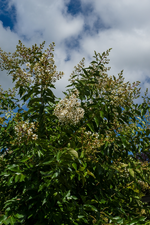 image003.webp
