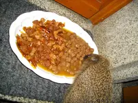 IMGP3174.webp