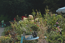 Stauden7_700.webp