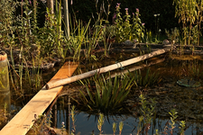 wilde Kontruktion_640.webp