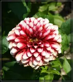 comp_DSC01864.webp