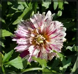 comp_DSC01871.webp
