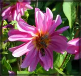 comp_DSC01875.webp