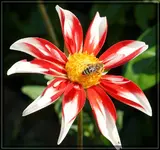 comp_DSC01877.webp
