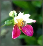 comp_DSC01878.jpg