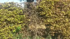 20160828_115252.jpg