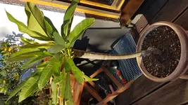 20160828_182137.webp