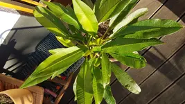 20160828_182117.webp