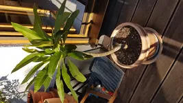 20160828_182104.webp