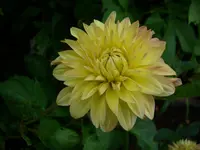 DSCI4478.webp