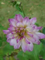 DSCI4483.webp