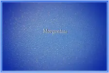 Morgentau_1164.webp