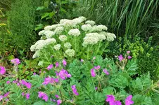 DSCF7123 (2).webp