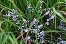 DSCF7120 (2).webp