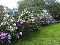 BILD5579.webp