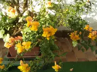 BILD5624.webp