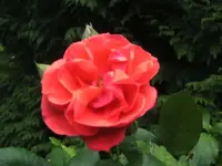 BILD5680.JPG
