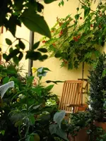 IMG_6403.webp