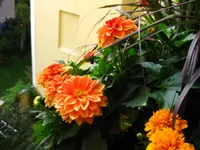 IMG_6414.webp