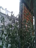 20160828_193755.jpg