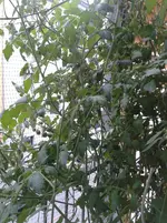 20160829_181936.webp