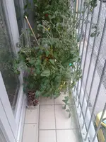 20160829_182022.webp