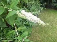 Bilda038.webp